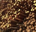 1520065887495498.jpg QQ截圖20180303164131.jpg